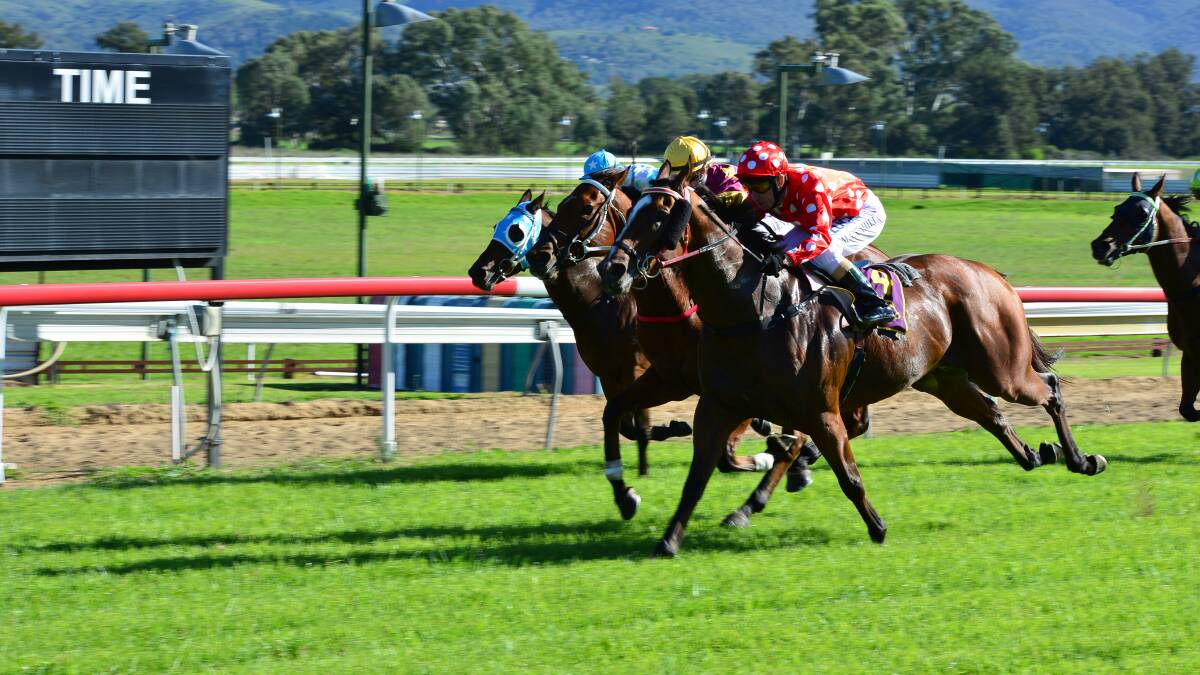 ARISE SIR KNIGHT: Lancelot (red and white) sprinted home to win the Happy Easter Sunday Open Handicap (1100 metres) at Mudgee yesterday.  Photo: COL BOYD
