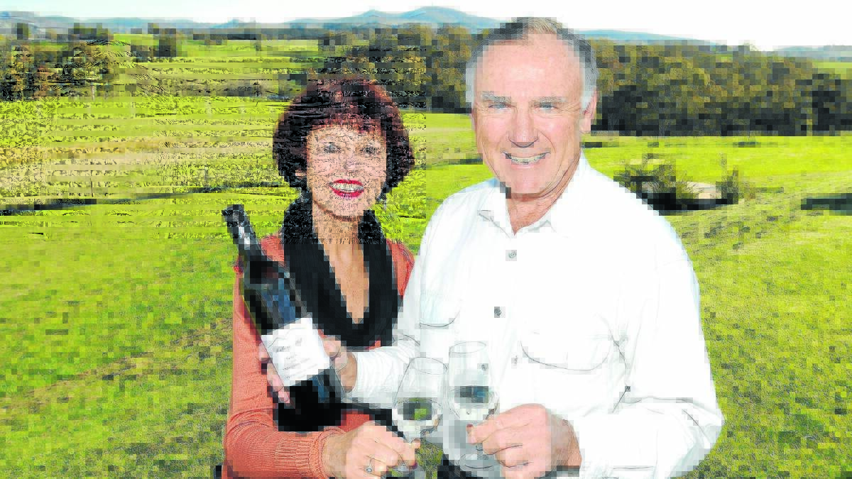 SWEET, CRISP SUCCESS: Lee and Peter Hedberg are celebrating the success of their 2015 Hedberg Hill Guy’s Sauvignon Blanc at the Australian Cool Climate Wine Show.
Photo: STEVE GOSCH