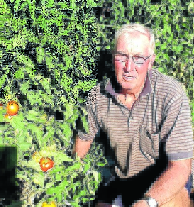 WHAT’S IN SEASON: Narromine farmer Mark Coen attends the Orange Region Farmers’ Market in summer and autumn. Photo contributed