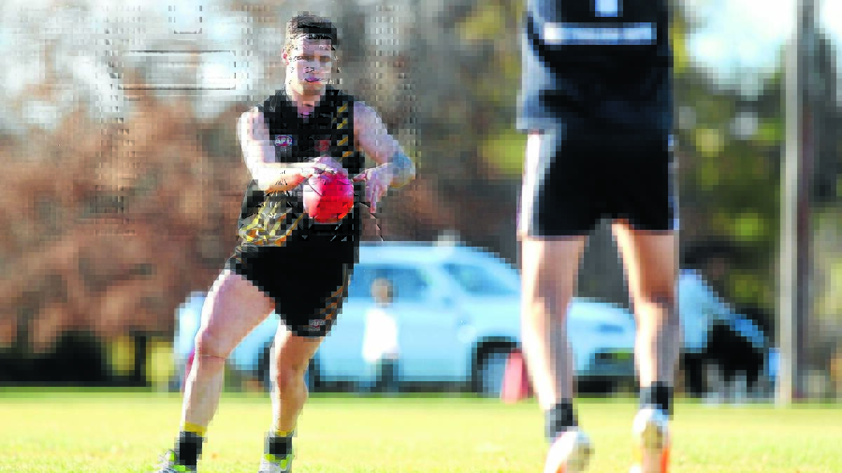 BUMPER YEAR: A third straight CWAFL title would make 2015 the best year of Michael Rothnie's life.
 Photo: PHIL BLATCH 