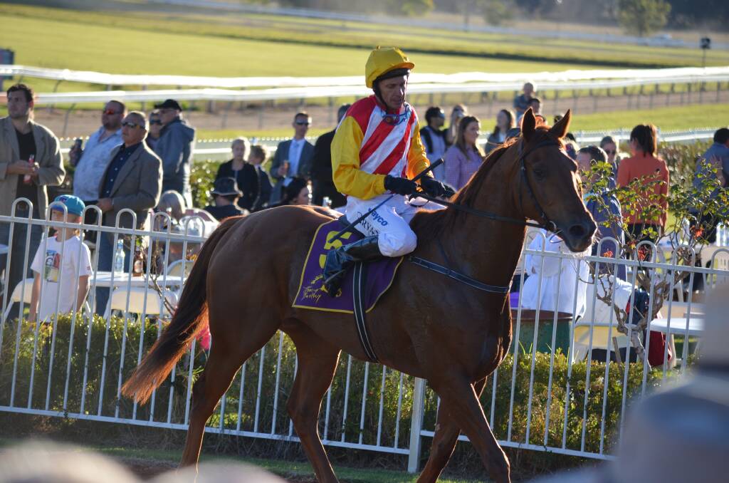 FANTASTIC FORM: Ideal Position, pictured with jockey Greg Ryan after winning the 2012 Gooree Cup, enjoyed a placing at Rosehill on the weekend. Photo: MUGEE GUARDIAN
