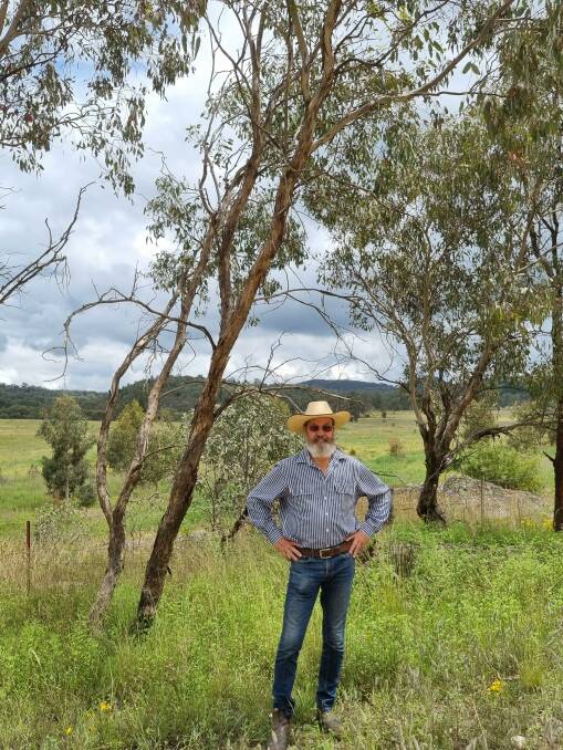 Mick Boller standing at the site of a koala sighting in 2021. The small wispy gum behind him was where the koala went for safety after being spotted by an approaching vehicle.