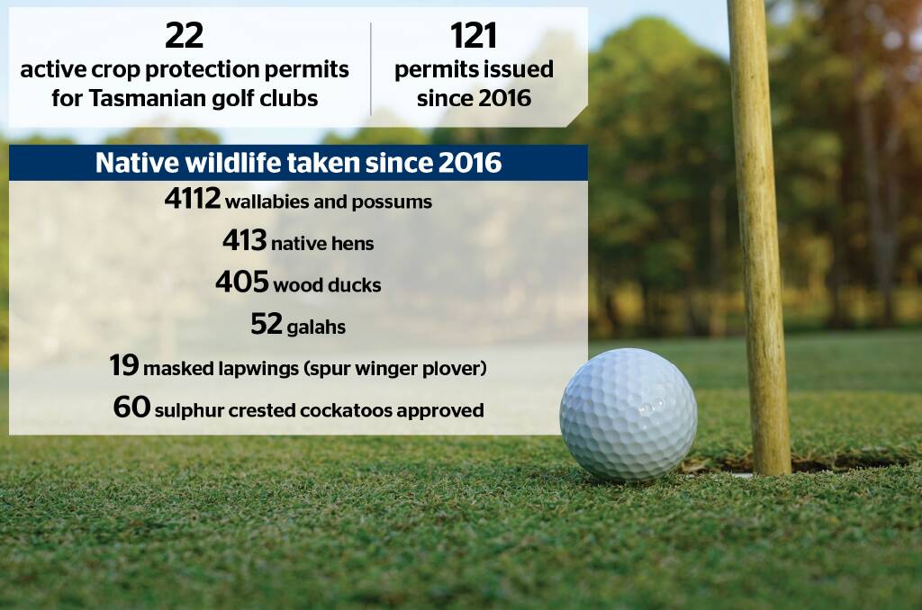 The golf clubs that have culled thousands of native animals