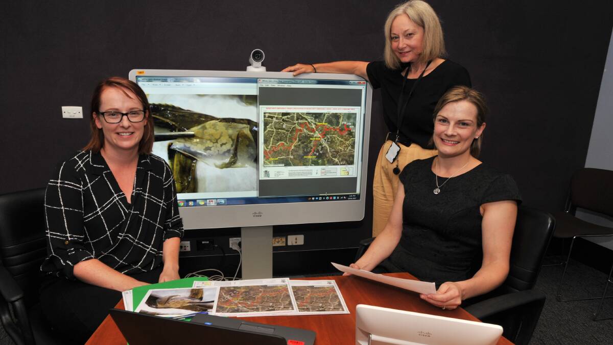 HELP: Primary industries staff Simone Catorall and Natalie Offner, with deputy chief veterinary officer Juliet Corish, will head to Queensland. Photo: JUDE KEOGH