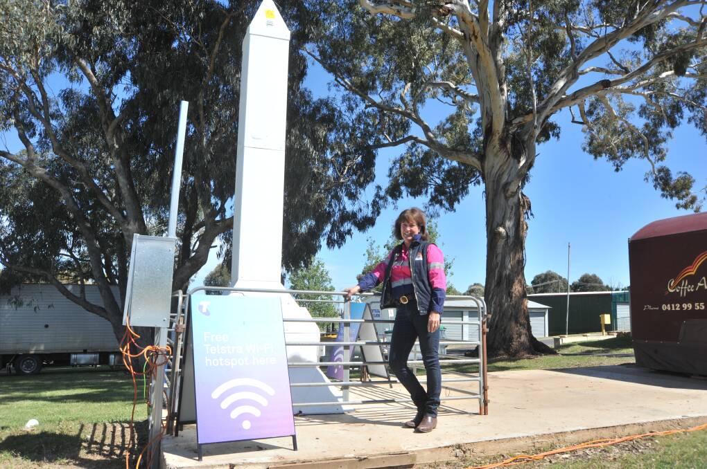 INTERNET ROCKET: Australian National Field Days manager Jayne West with one of the three Wi-Fi towers. Photo: JUDE KEOGH 1024jkfield5