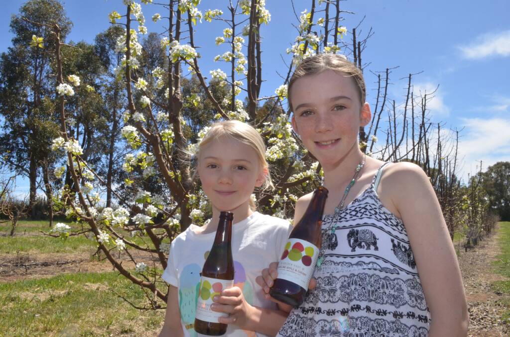 GOLDEN IDEA: Mia and Tillia Kendell's idea for Golden Knot non-alcoholic cider has won gold medals. Photo: DECLAN RURENGA 1002drcider1