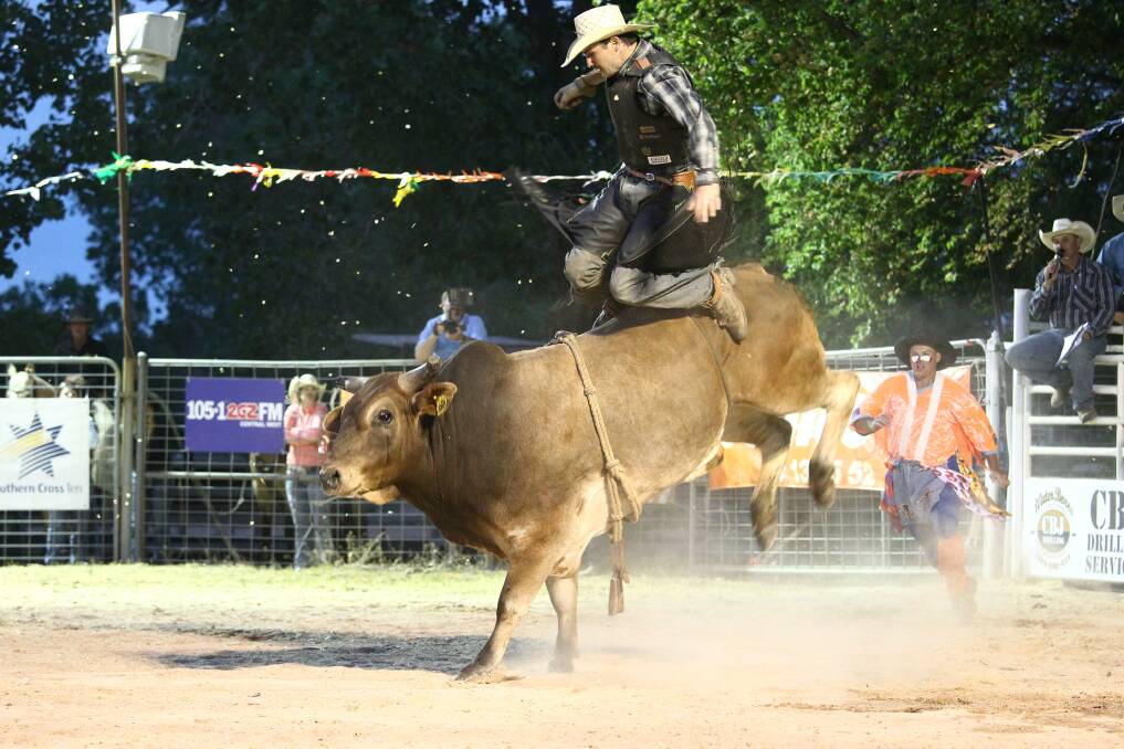 UP AND AT 'EM: Eddie Carlin gets tossed by a bull at the Orange Rodeo last year. Photo: PHIL BLATCH 1017pbrodeo22