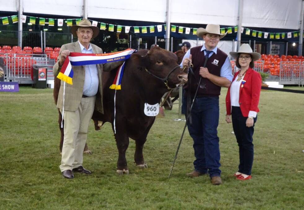 Breed president Doug Hargrave with Kierin Martin and judge Caitlin Berecry with Lyn and Roger French's grand champion bull at the Royal Easter Show. Photo: LYN FRENCH