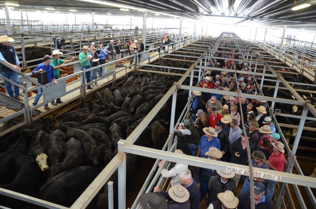 OFF TO MARKET: Cattle sales at the Central Tablelands Livestock Exchange in Carcoar more than doubled during March. Photo: MARK GRIGGS 032918ctlx