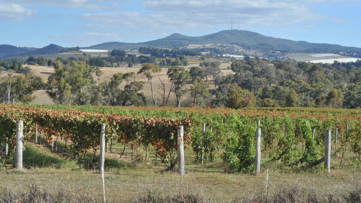 TOP DROPS: Philip Shaw Wines is among a host of wineries that attract tourists to Orange.