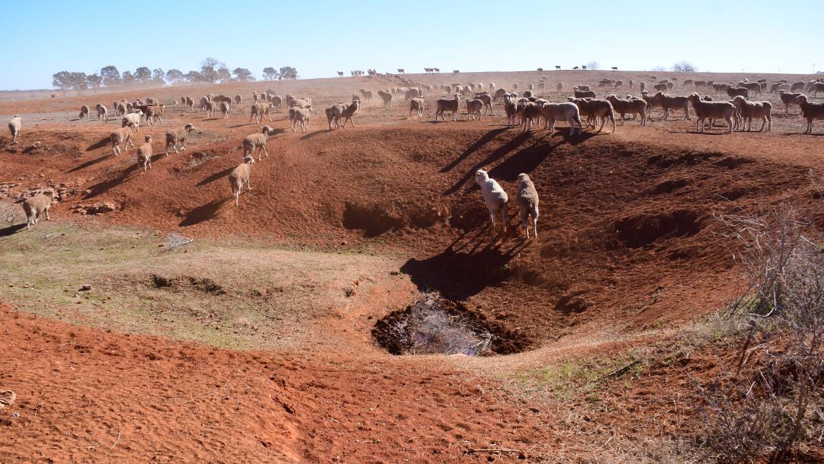 HOT AND DRY: The outskirts of Dubbo are a stark reminder of the worst drought on record. Photo: AMY MCINTYRE