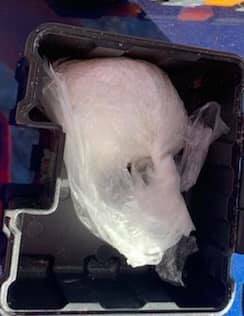 ITEMS SEIZED: Police will allege an amount of the drug 'ice' found in a vehicle following a police pursuit. Photo: NSW POLICE