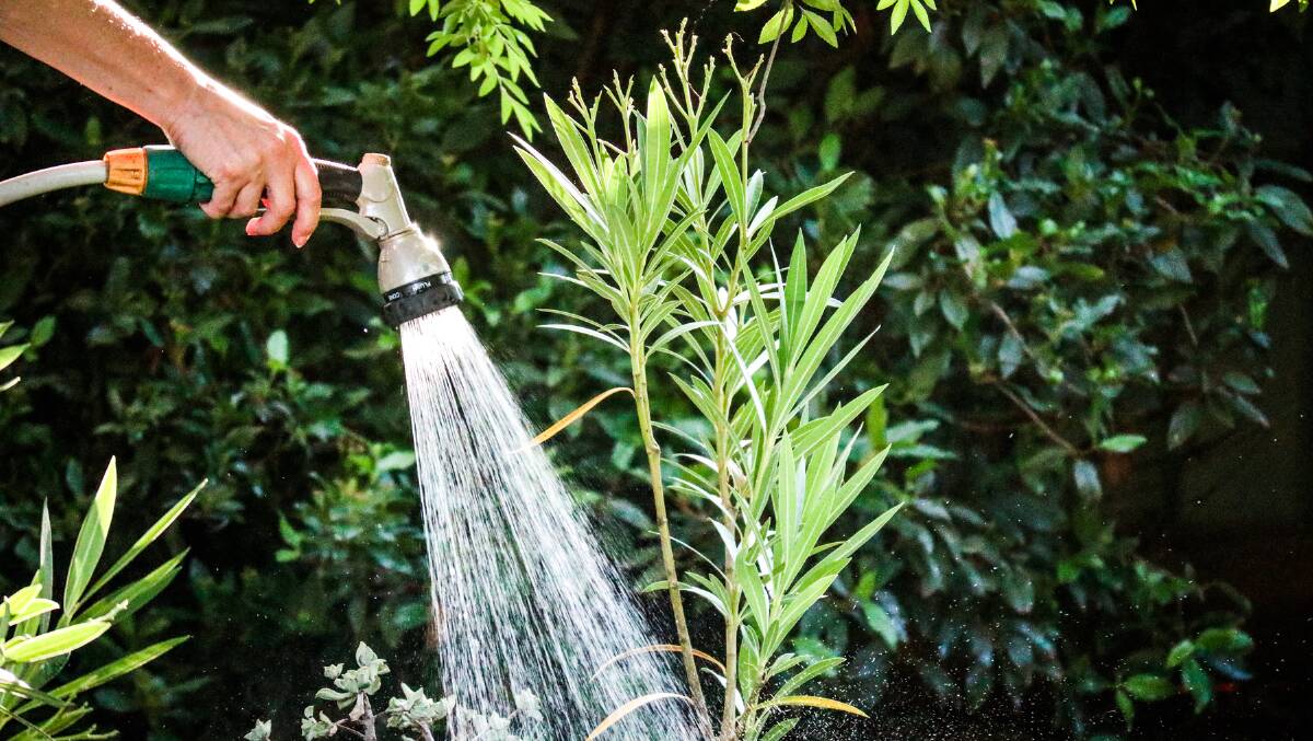 SUPPLY STILL LOW: Residents can hose their plants every second day using the odds and evens system during set hours. 