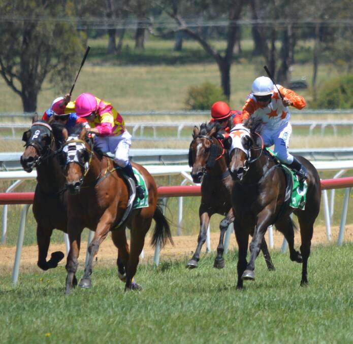 CHARGING HOME: Smith's Supreme Gem (right) will hope to re-capture form that saw her win a pair of races at Orange in 2018. Photo: MATT FINDLAY