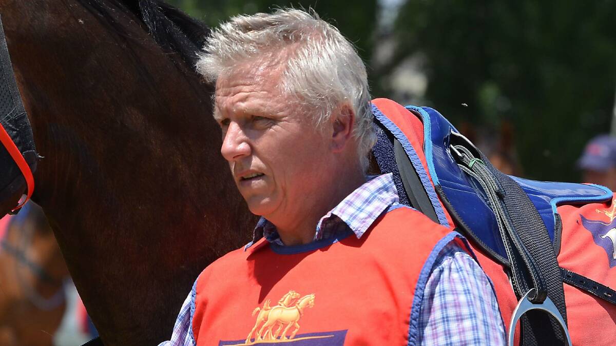 A NEW PROSPECT: Dean Mirfin's Buzzoni will debut at Towac Park on Friday as it will compete over the 1000m. The gelding will be steered by Chad Lever in the sixth event of the day.
