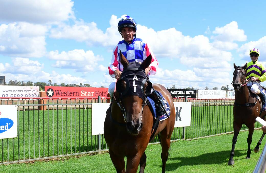 GOING AROUND AGAIN: Jockey Anthony Cavallo will look to lead Allison Smith's Panuara to a famous win at Wellington on Monday. Photo: AMY McINTYRE