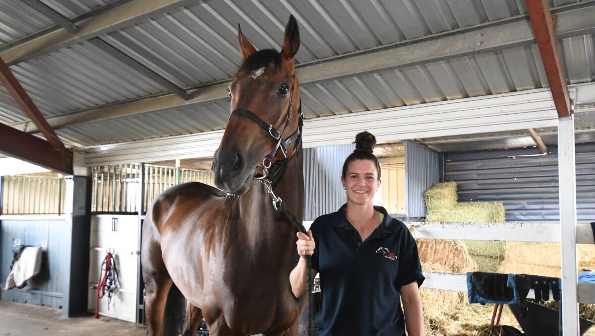 A BIG TEST: Elly McCarrol alongside Vaquero. The gelding is set to race at Randwick on Saturday where as of Friday, he's listed as a $20 chance to win. Photo: JUDE KEOGH