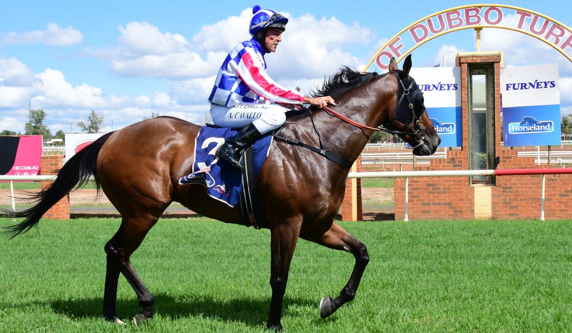 RETURNING: Alison Smith's Panuara will look to make it two wins in-a-row at Dubbo Turf Club on Sunday.