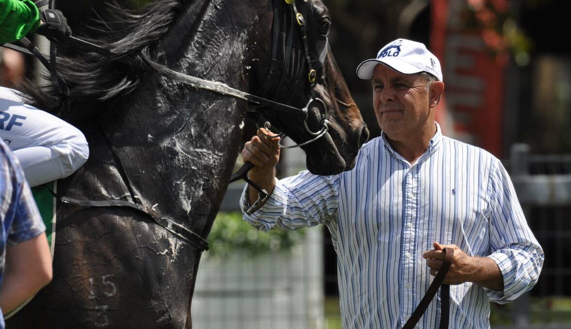 BIG BRAD: Draper's Seawatch ran second at Wellington on Thursday, the gelding's first top-three finish since an appearance at the same track back in December.
