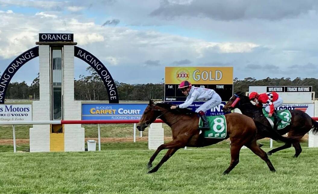 AS COOL AS YOU LIKE: Alison Smith's Brief Statement bolted in during the second last at Towac on Monday. The filly was excellent in her three runs this prep. Photo: BREE McMINN