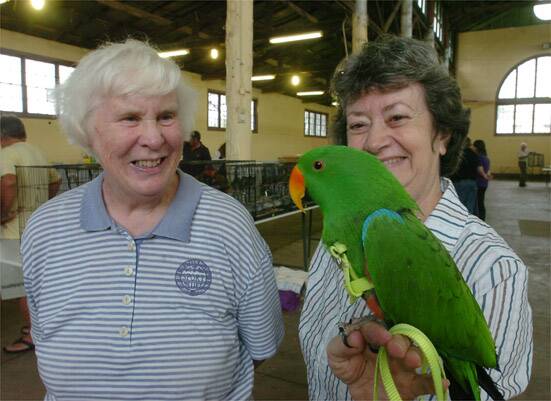 PADDYS MARKET: Paddy  the eclectus parrot visits the Orange Bird Sale with his owners Margaret Thomas and Pam Tebbatt. Photo: STEVE GOSCH