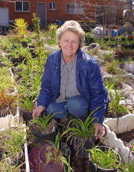GARDEN LOVER: Sophia Kjoller tends to the plants she grows for her nursery business. Photo: STEVE GOSCH                                                                       0917sgsophia1