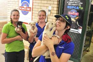 DOGS IN WAITING:  Natasha Hobday with Scruffy, Melinda Nicholls with Fido and Carly Hudson with Molly.