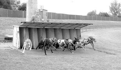 BOXED UP: The field jumps at a recent Wade Park greyhound meeting. The sport’s future at the track is now limited with the 2005-06 season confirmed as its last while that season may be cut short.
