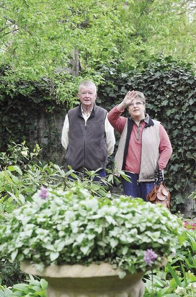 DAY ON THE GREEN: Dave and Jan Harris take a stroll through the gardens of the historic Mena homestead.