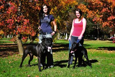 PET PARTICIPANTS: Rebel Lindsay-Egan with JD and Caitlin Simmons with Bricks.