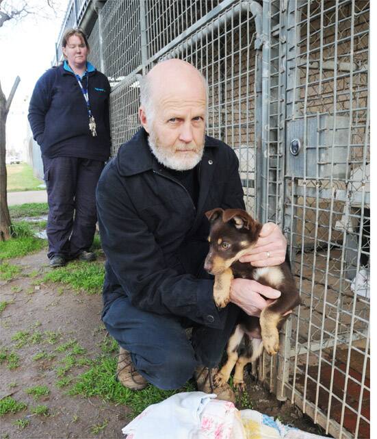 PUPPY LOVE: Orange City Council’s councillor Neil Jones wants to change Orange’s appalling track record of unwanted animals.
