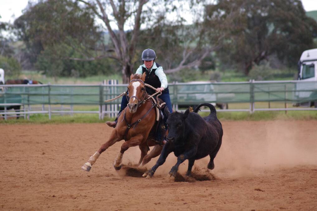 HOT ACTION: Lara Garlick rides Vixen during competition at a campdraft event, don't miss the action at Orange Showground that kicks off this afternoon and runs across the weekend. Photo: CONTRIBUTED