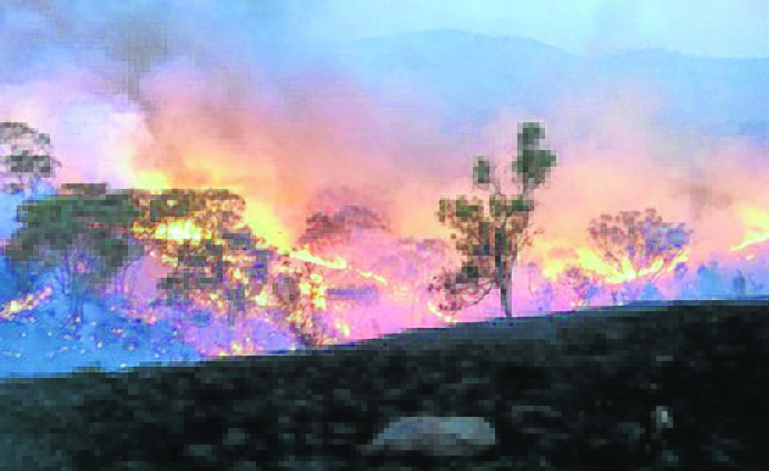 Lance Pennings pleaded guilty to starting the Long Point bushfire in Orange Local Court yesterday.