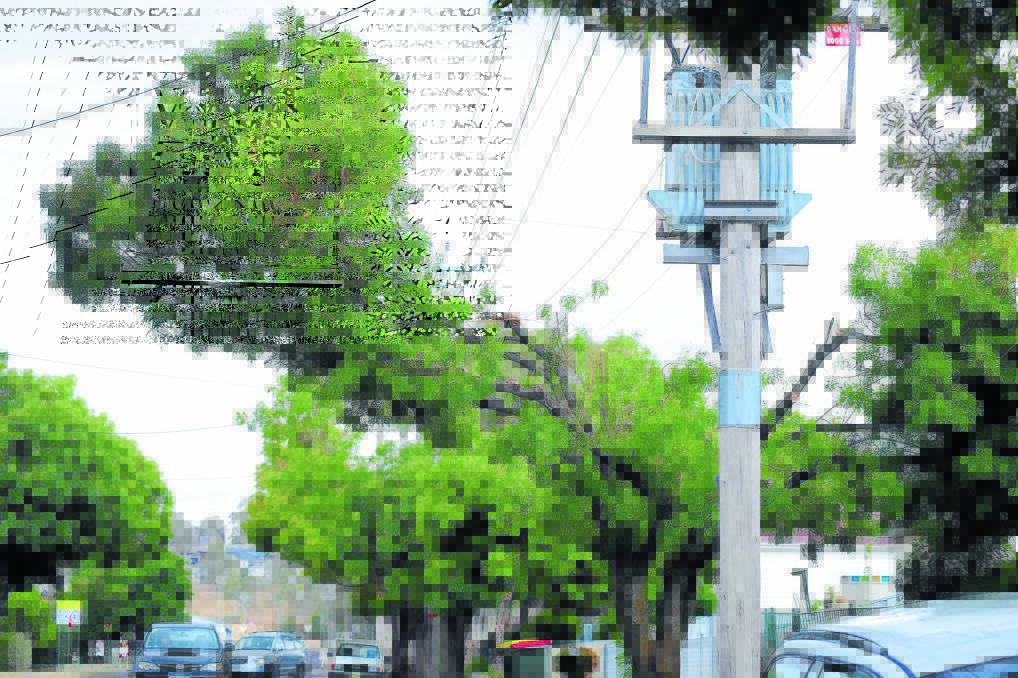 NOT A GOOD LOOK: Essential Energy is undertaking a program to maintain electricity lines in the city, with some residents claiming the line maintenance is creating an eyesore. Photo: STEVE GOSCH