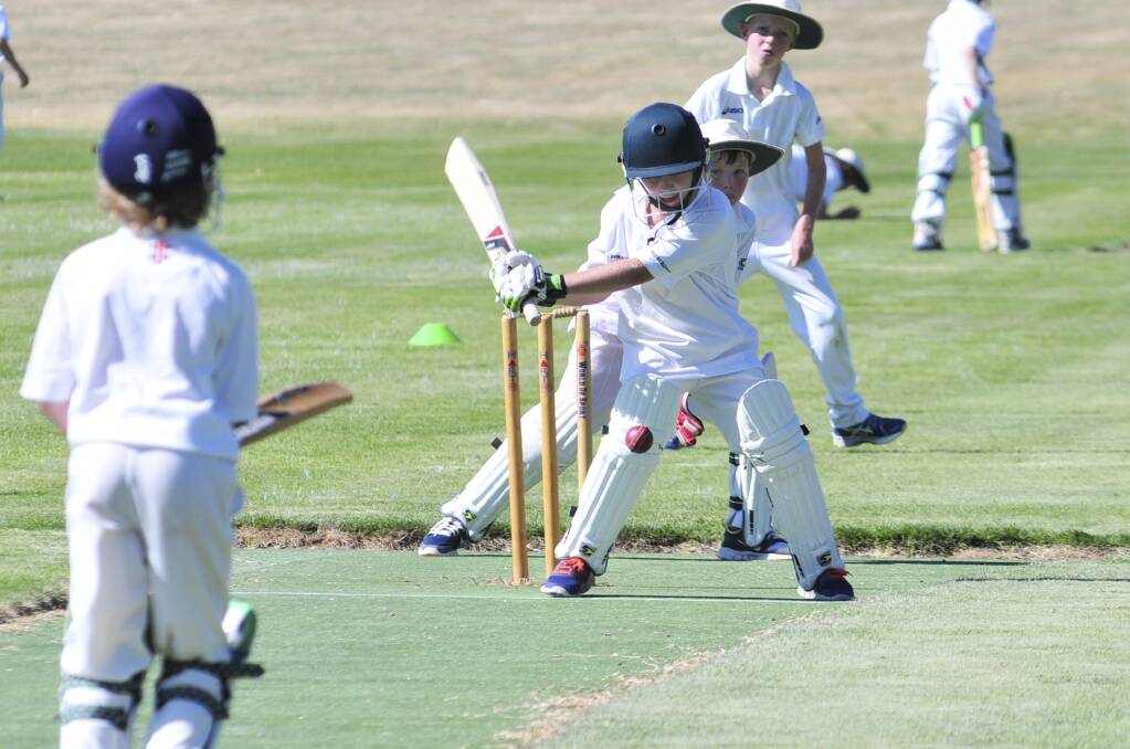 Jack Tracey tries to hit one to the boundary on Saturday. Photo: JUDE KEOGH