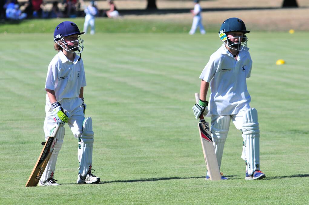 Aiden Casey and Jack Tracey walk off the field at the end of the innings on Saturday. Photo: JUDE KEOGH