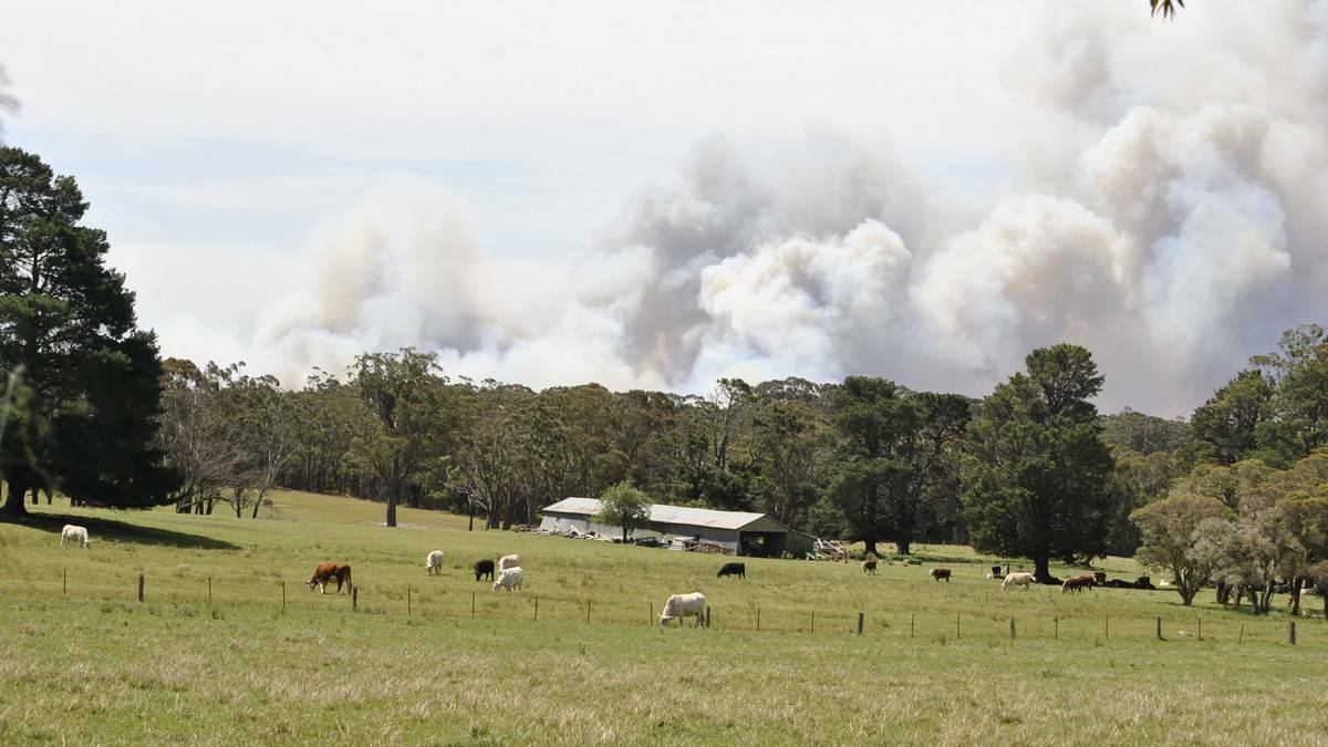 Smoke from the Balmoral fires seen from Wilson Drive intersection in Colo Vale. Photo: Southern Highlands News.