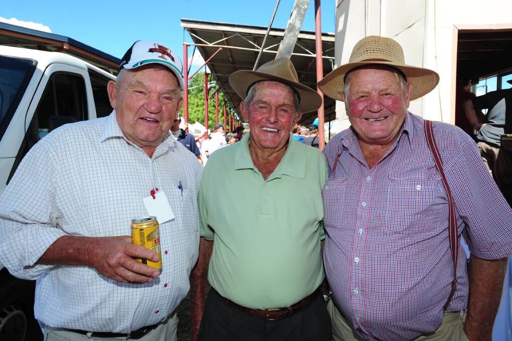 Des Redmond, Tony Turnbull and Geoffrey Beasley. Photo: Steve Gosch
