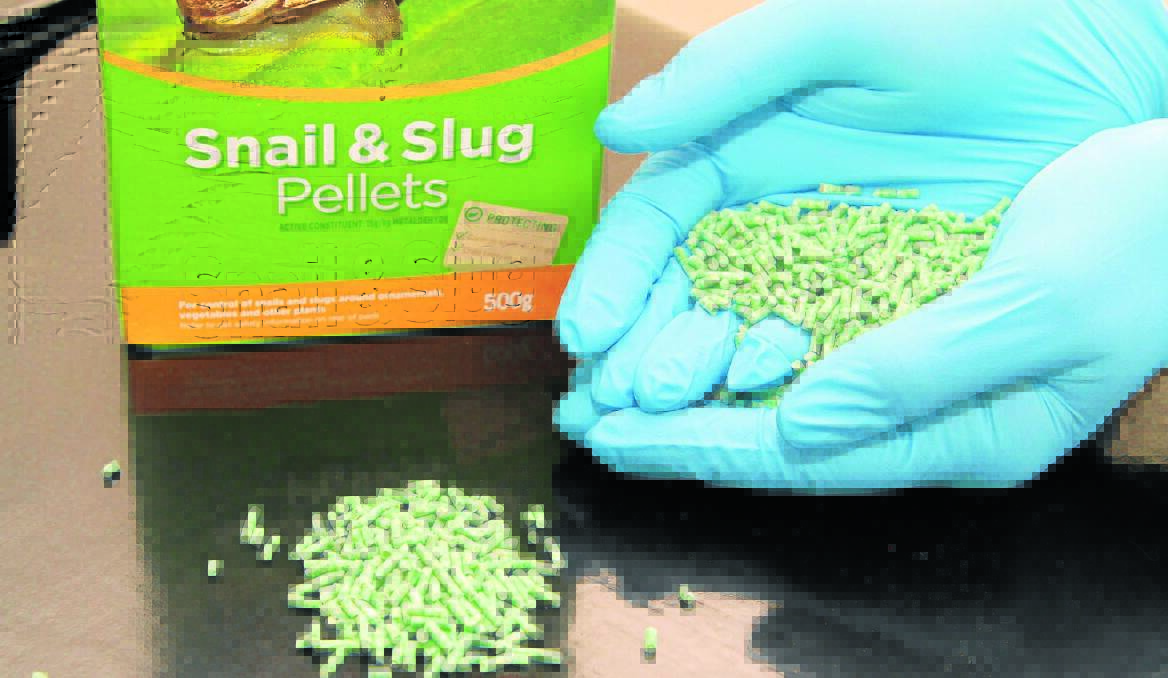 Snail bait can prove fatal for dogs. Photo: JEFF DEATH