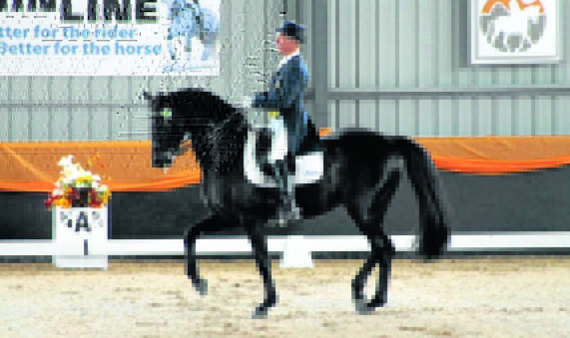 SETTING THE BAR: Heath Ryan and Regardez Moi (pictured) were dominant at the 2013 Dressage With Altitude at Orange's Bradgate Park.